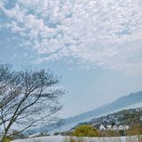 统统免费，补钙，吸氧，拍照