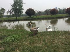 -骏途旅游
