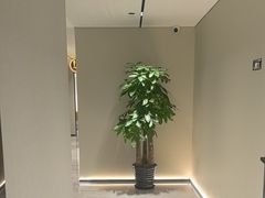 -W·24H茶楼·棋牌·掼蛋(望京店)