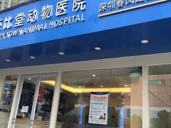 -芭比堂动物医院·24小时·眼科中心(深圳中心)