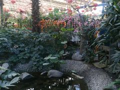 -兴芮温泉度假区