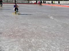 -绿野森林乐园冰雪季