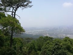 -旗山国家森林公园