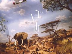 -山东博物馆