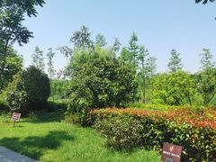 -狼山风景名胜区