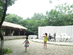 -白马涧龙池景区
