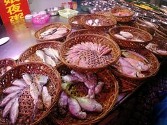 -长平老姿娘夜粥(平东一街店)