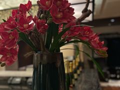 -北京王府井希尔顿酒店·秦唐中餐厅Chynna