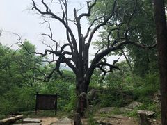 -北京密云天门山风景区