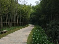 -常德桃花源景区