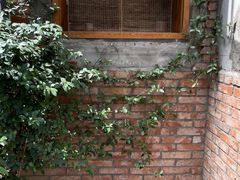 -春庄咖啡SpringHues(钟楼小区店)