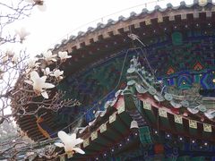-潭柘寺景区