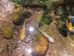 -正佳雨林生态植物园