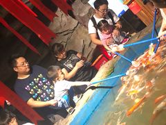 -石家庄海洋公园