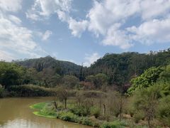 -南宁良凤江国家森林公园