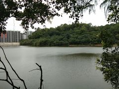-火炉山森林公园
