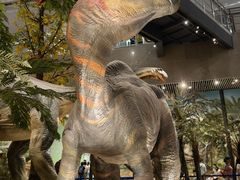 -湖南省地质博物馆