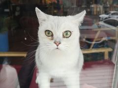 -花与咖啡馆(金星楼店)
