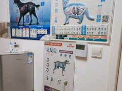 -乖乖宠物医院·猫科·骨科·24小时(云岗分院)