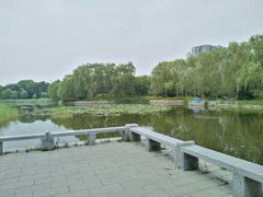 -望湖公园