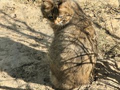 -青藏高原野生动物园