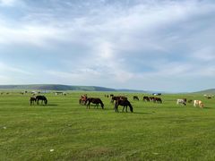 -莫日格勒旅游景区