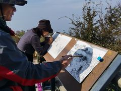 -少华山国家森林公园
