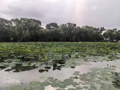 -北陵公园