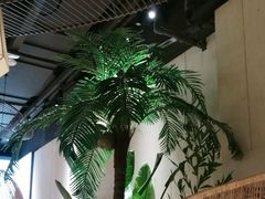 -大头椰·椰子鸡火锅(南宁万象城店)