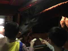 -清迈夜间动物园