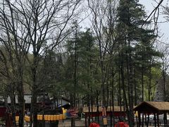 -洛阳白云山景区