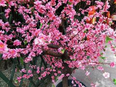 -红螺寺