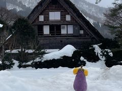 -白川乡与五箇山的合掌构造村落