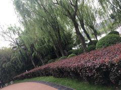 -西安曲江寒窑遗址公园