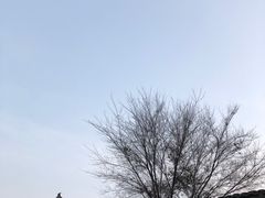 -楠柏弯休闲山庄(梨花溪店)
