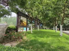 -合肥滨湖国家森林公园