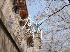 -武汉大学-樱园