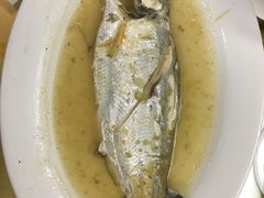 -汕头金乐大酒店