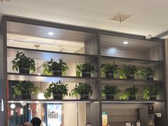 -刘胖子家常菜·蹄花焖藕(中南店)