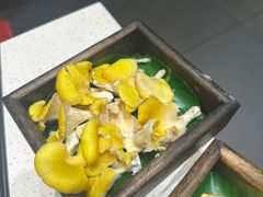 -木王宴语·野生鲜菌火锅(玉河店)