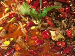 老豆腐爱上小肥牛-梧桐花园餐厅(新城店)