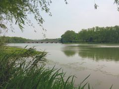 -昆山城市生态森林公园