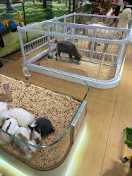 -小象动悟公园(龙湖亦庄天街店)
