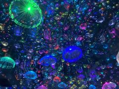-上海梵高星空艺术馆(南京路旗舰店)