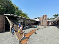 -凤阁楼果木烧鹅(鹤山陈山店)