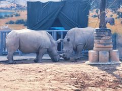 -西安秦岭野生动物园