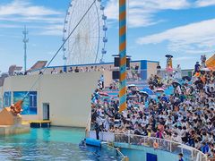 -秦皇岛乐岛海洋王国