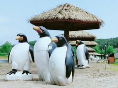 -大顶子山温泉旅游区