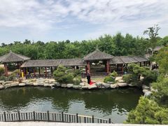 -中国唐苑