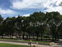 -新江湾城公园